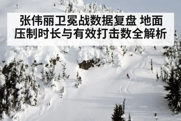 张伟丽卫冕战数据复盘 地面压制时长与有效打击数全解析